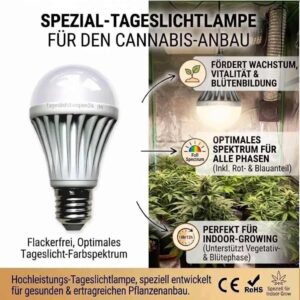 2er Set E27 LED Grow Lampe LED je 10 Watt 1000 Lumen 6500 K Tageslicht Vollspektrum flimmerfrei – Bild 2