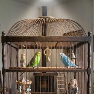 LED-Volierenleuchte Uranus mit Tageslichtlampe, 15 Watt, 1320lm, 6500 Kelvin – Bild 1