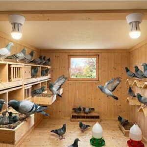 2er Set Taubenschlag Tageslichtlampe 10W 6500K E27 – Bild 2