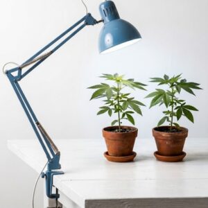 Pflanzenleuchte Cancer inkl. LED Grow Tageslichtlampe 10W 1000lm 6500K – Bild 2