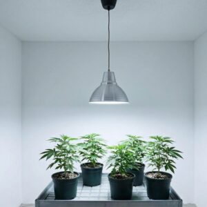 Pflanzenleuchte Pluto inkl. LED Grow Tageslichtlampe 20W 1930lm 6500K – Bild 3