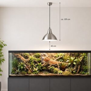 Eine lebendige Dschungellandschaft im Glasterrarium mit dichtem, sattgrünem Pflanzenwuchs und kunstvollen Wurzeln, die von kleinen Echsen oder Fröschen belebt und durch das Tageslicht der Pluto Terrarienleuchte perfekt in Szene gesetzt wird.