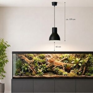 Eine lebendige Dschungellandschaft im Glasterrarium mit dichtem, sattgrünem Pflanzenwuchs und kunstvollen Wurzeln, die von kleinen Echsen oder Fröschen belebt und durch das Tageslicht der Uranus Terrarienleuchte perfekt in Szene gesetzt wird.