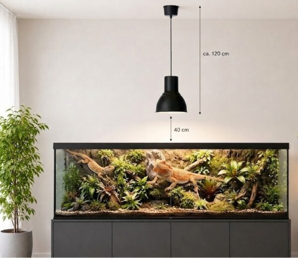 Eine lebendige Dschungellandschaft im Glasterrarium mit dichtem, sattgrünem Pflanzenwuchs und kunstvollen Wurzeln, die von kleinen Echsen oder Fröschen belebt und durch das Tageslicht der Uranus Terrarienleuchte perfekt in Szene gesetzt wird.