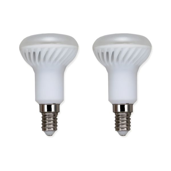 Terrarium-Tageslichtlampen im 2er-Set mit E14 Sockel, 5 Watt und 6500 Kelvin für optimale Beleuchtung.