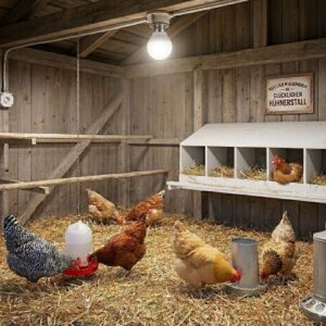 LED Tageslichtlampe für den Hühnerstall - flimmerfrei - 5 Watt 450 Lumen 6500 Kelvin