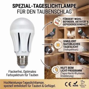 2er Set E27 LED Taubenschlaglampe je 15W 1320lm 6500K Tageslicht Vollspektrum flimmerfrei – Bild 2
