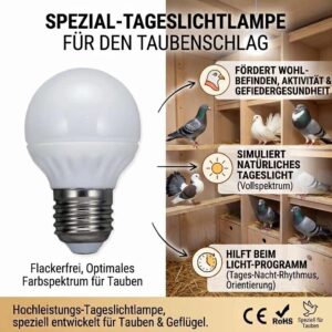 Vollspektrum Tageslichtlampe für Hühnerstall flimmerfrei E27 5 W 450 lm 6500 K – Bild 2