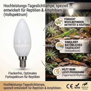 2er Set E14 LED Terrarienlampe  je 4 W 300 lm 6500 K Tageslicht Vollspektrum flimmerfrei – Bild 2