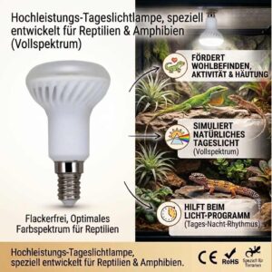 E14 LED Terrarienlampe 5 W 450 lm 6500 K Tageslicht Vollspektrum flimmerfrei – Bild 2