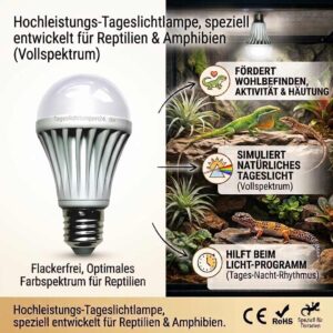 2er Set E27 LED Terrarienlampe je 10 W 1000 lm 6500 K Tageslicht Vollspektrum flimmerfrei – Bild 2
