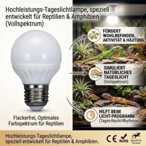 E27 LED Terrarienlampe 5 W 450 lm 6500 K Tageslicht Vollspektrum flimmerfrei – Bild 2