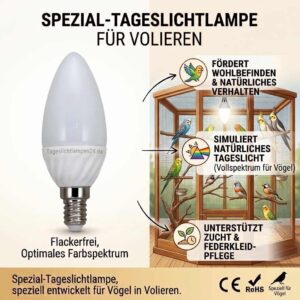 2er Set E14 LED Volierenlampe je 4W 300lm 6500K Tageslicht Vollspektrum flimmerfrei – Bild 2